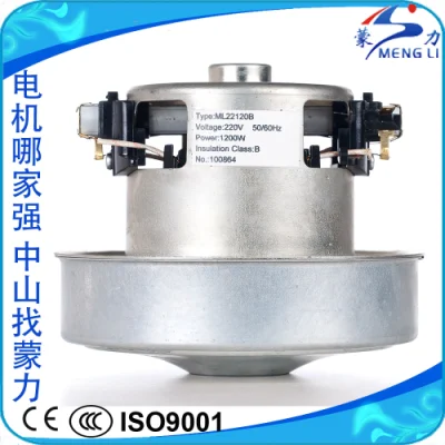 La produzione in Cina personalizza il motore elettrico singolo per aspirapolvere CA 220 V/motore per asciugatura a mano/