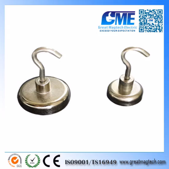 Forti magneti al neodimio di terre rare Il materiale magnetico più potente