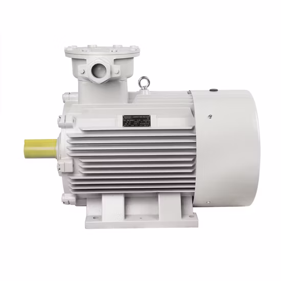 Motore elettrico a induzione elettrica AC DC sincrono asincrono ignifugo antideflagrante